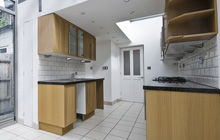 Ballynahinch kitchen extension leads